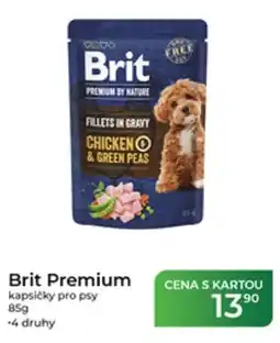 Tamda Foods Brit Premium kapsičky pro psy nabídka