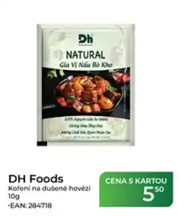 Tamda Foods Dh Foods koření na dušené hovězí nabídka
