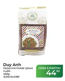 Tamda Foods Duy Anh celozrnné hnědé rýžové nudle nabídka