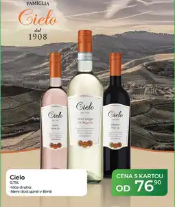 Tamda Foods Cielo nabídka