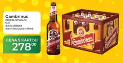 Tamda Foods Gambrinus nabídka