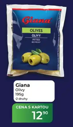 Tamda Foods Giana olivy nabídka