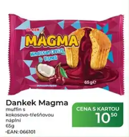 Tamda Foods Dankek Magma nabídka