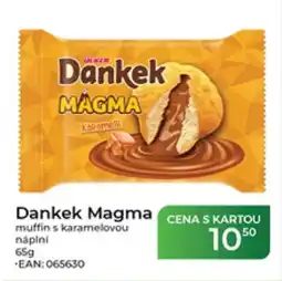 Tamda Foods Dankek Magma nabídka