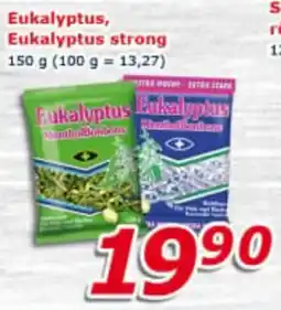 ESO MARKET Eukalyptus nabídka
