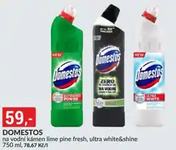 Baumax Domestos na vodní kámen lime pine fresh, ultra white&shine nabídka