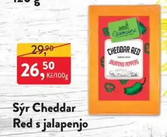Cessaine sýr cheddar red s jalapenjo