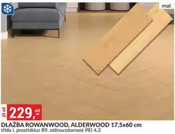Baumax Dlažba Rowanwood, Alderwood nabídka