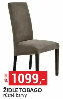 Baumax Židle Tobago nabídka