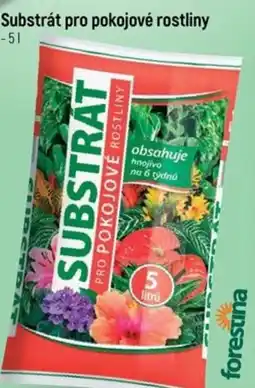 Globus Substrát pro pokojové rostliny nabídka