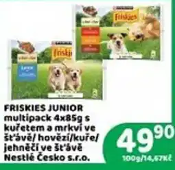 Brněnka Friskies junior nabídka
