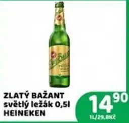 Brněnka Heineken zlatý bažant světlý ležák nabídka