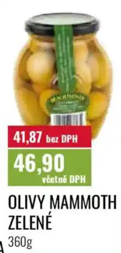 Ratio Olivy mammoth zelené nabídka