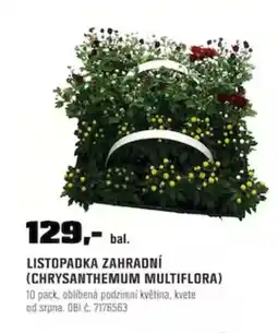 OBI Listopadka zahradní nabídka