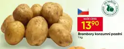 Hruška Brambory konzumní pozdní nabídka