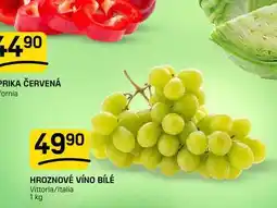 Flop HROZNOVÉ VÍNO BÍLÉ Vittoria/Italia nabídka