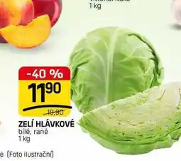 Flop ZELÍ HLÁVKOVÉ bílé, rané nabídka