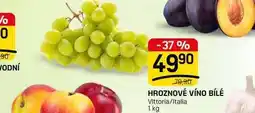 Flop HROZNOVÉ VÍNO BÍLÉ Vittoria/Italia nabídka