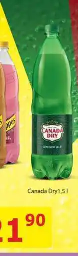 BENE Nápoje Canada Dry nabídka