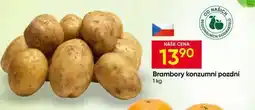 Hruška Brambory konzumní pozdní nabídka