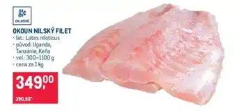 Okoun nilský filet