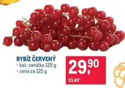 Makro Rybíz červený nabídka