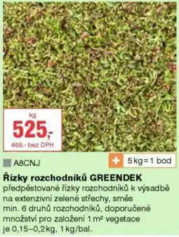 DEK Greendeck řízky rozchodníků nabídka