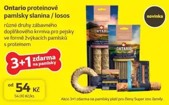 Ontario pamlsky slanina / losos