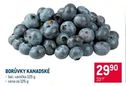 Makro Borůvky kanadské nabídka