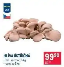 Makro Hlíva ústřičná nabídka