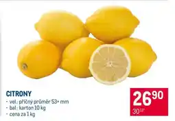 Makro Citrony nabídka
