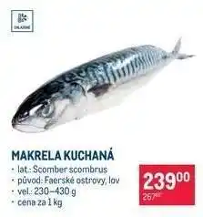 Makrela kuchaná