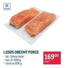 Makro LOSOS OBECNÝ PORCE nabídka