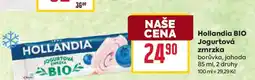 Billa HOLLANDIA BIO JOGURTOVÁ ZMRZKA nabídka