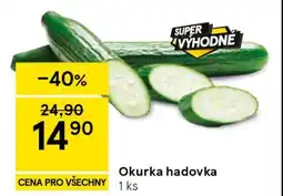 Tesco Okurka hadovka nabídka