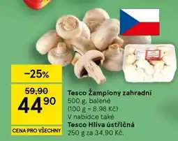 Tesco Tesco Žampiony zahradní nabídka