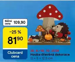 Tesco Houba dřevěná dekorace nabídka