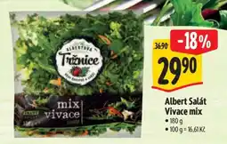 Albert Albert Salát Vivace mix nabídka