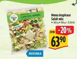 Albert Menu inspirace Salát mix nabídka