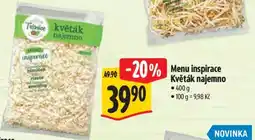 Albert Menu inspirace Květák najemno nabídka
