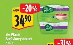 Albert Yes Plants Borůvkový dezert nabídka