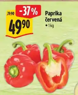 Albert Paprika červená nabídka