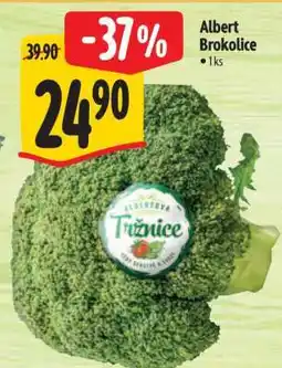 Albert Albert Brokolice nabídka