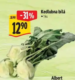 Albert Kedlubna bílá nabídka