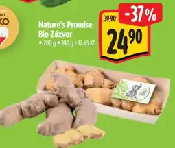 Albert Nature's Promise Bio Zázvor nabídka