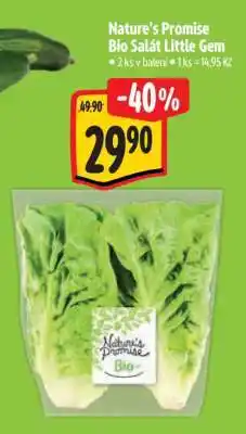Albert Nature‘s Promise Bio Salát little gem nabídka