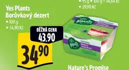 Albert Yes Plants Borůvkový dezert nabídka