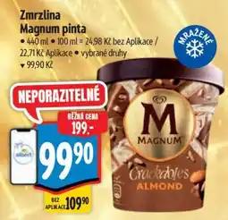 Albert Zmrzlina Magnum Pinta nabídka