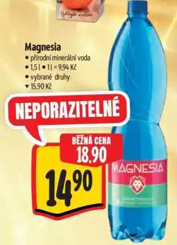 Albert Magnesia nabídka