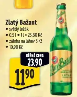 Albert Zlatý Bažant nabídka